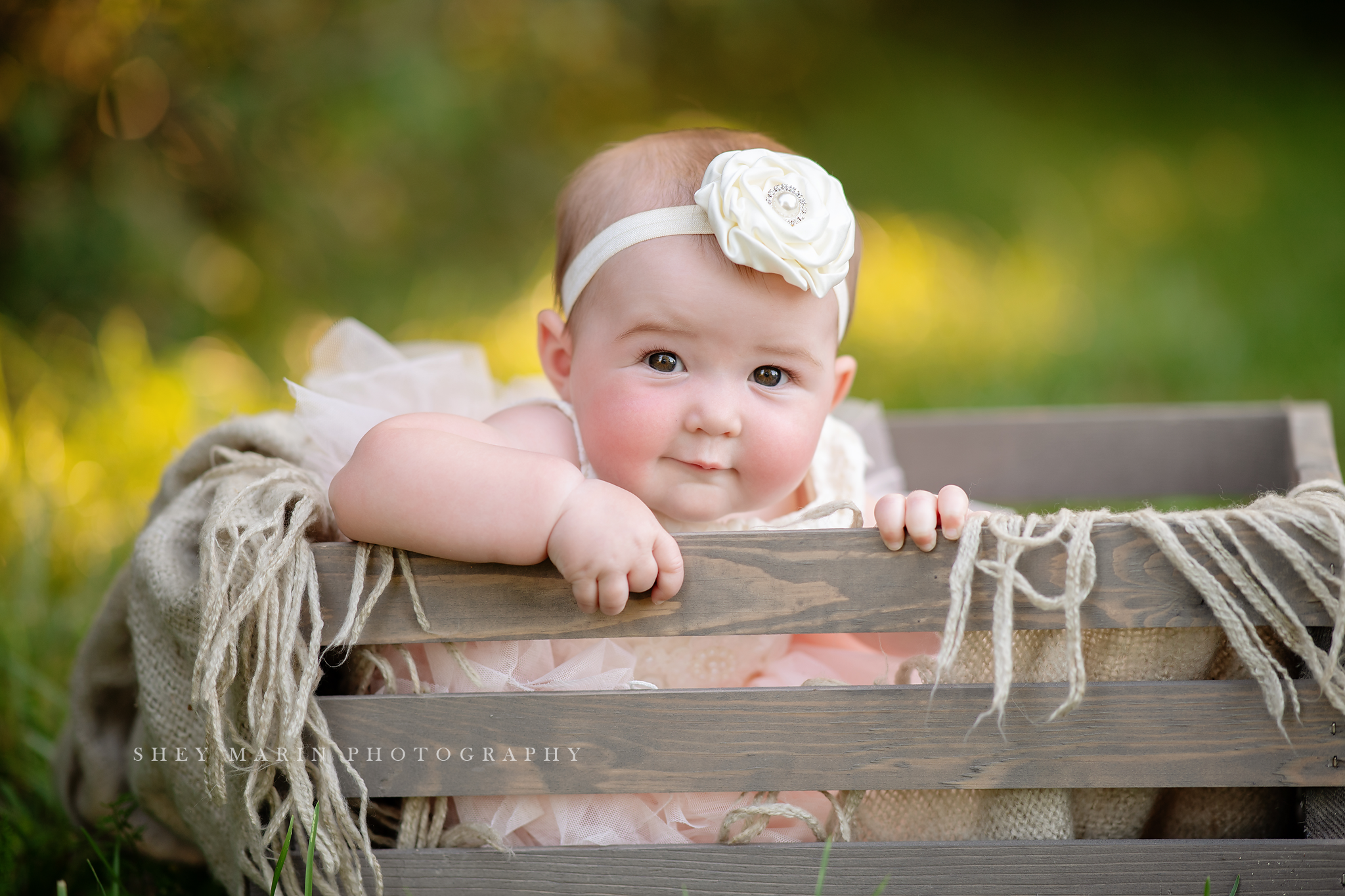 golden hour family photosession frederick maryland