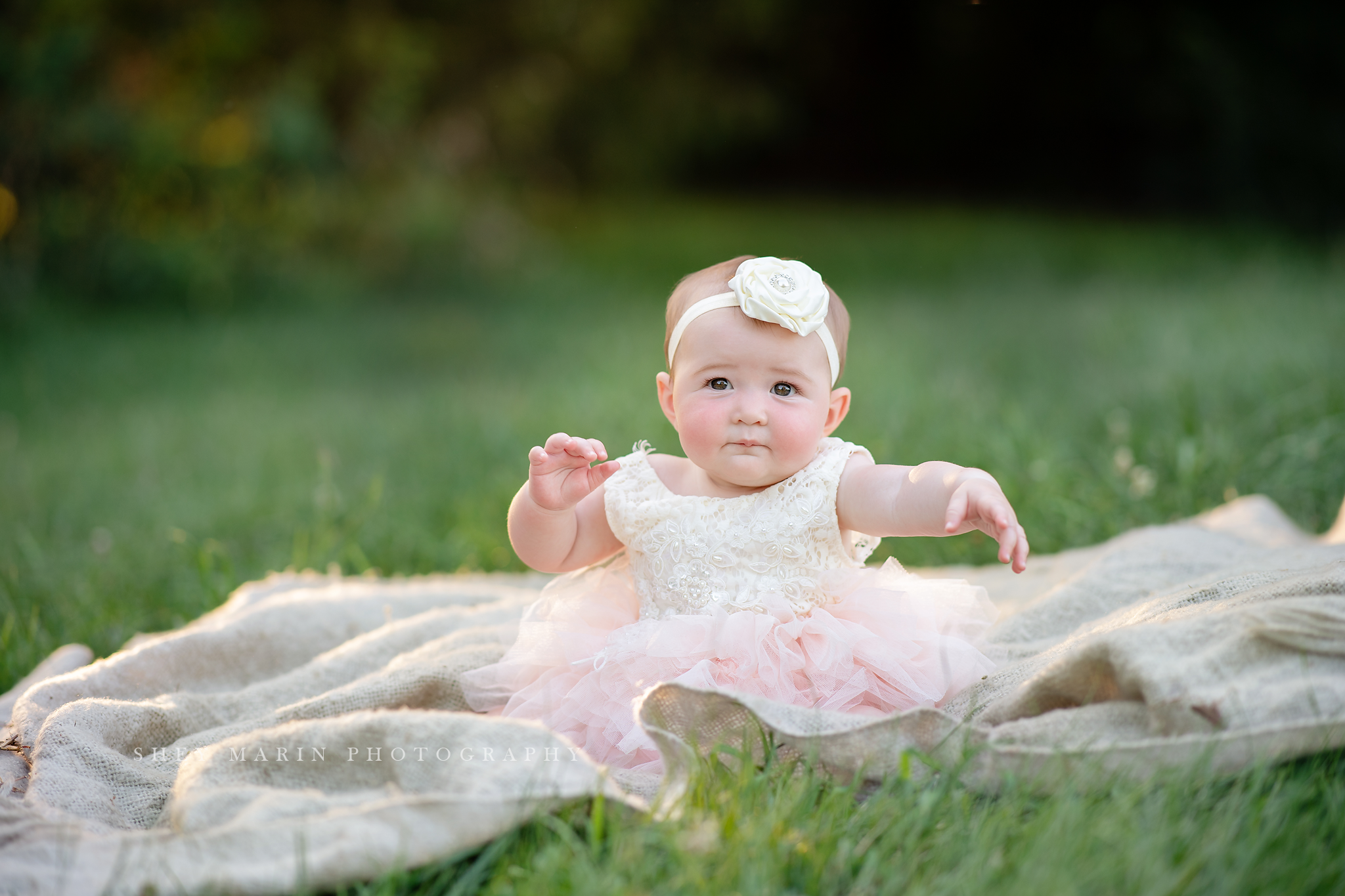 golden hour family photosession frederick maryland