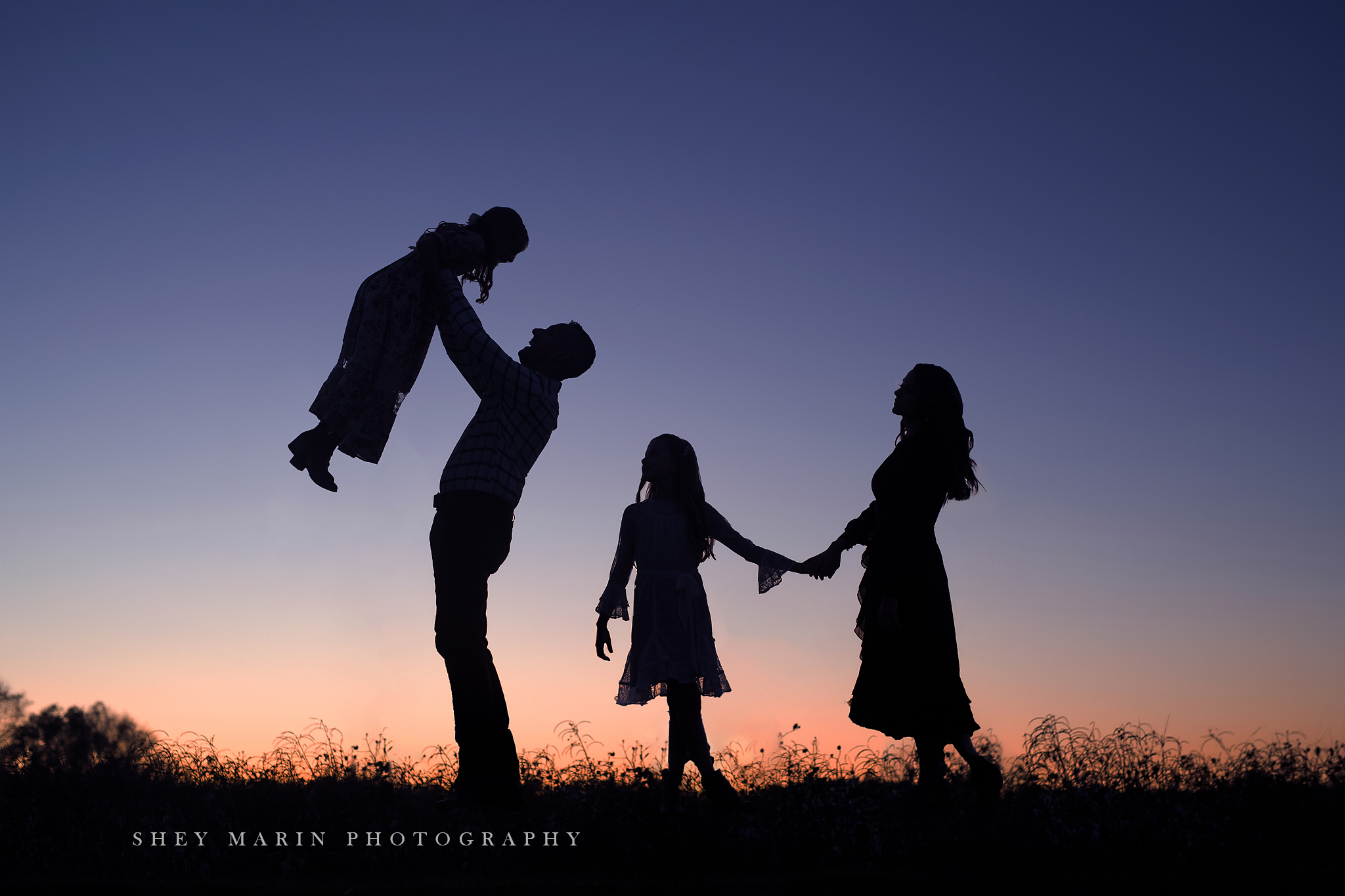 cotton field family photo session
