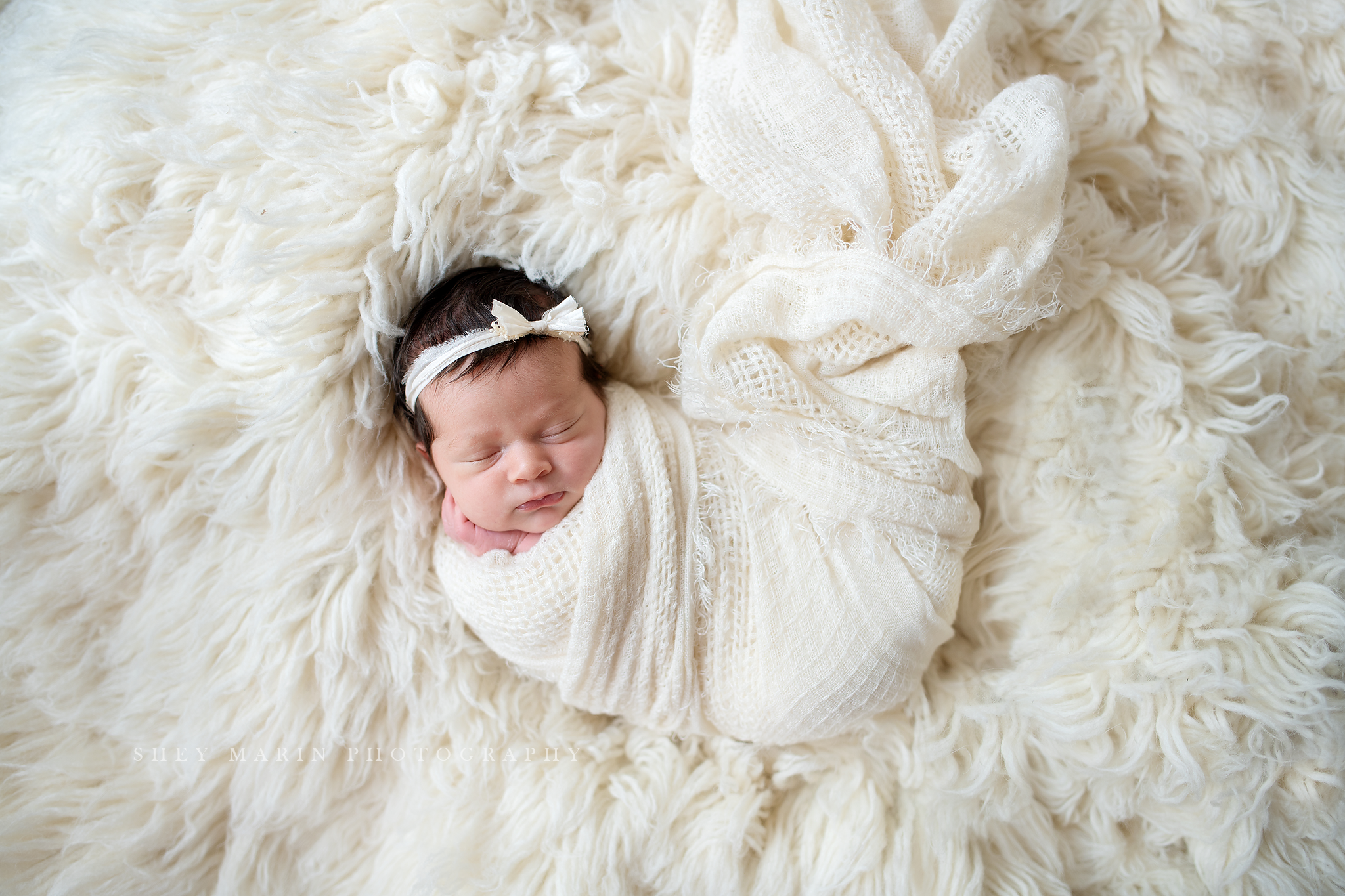 best lifestyle newborn photographer DC