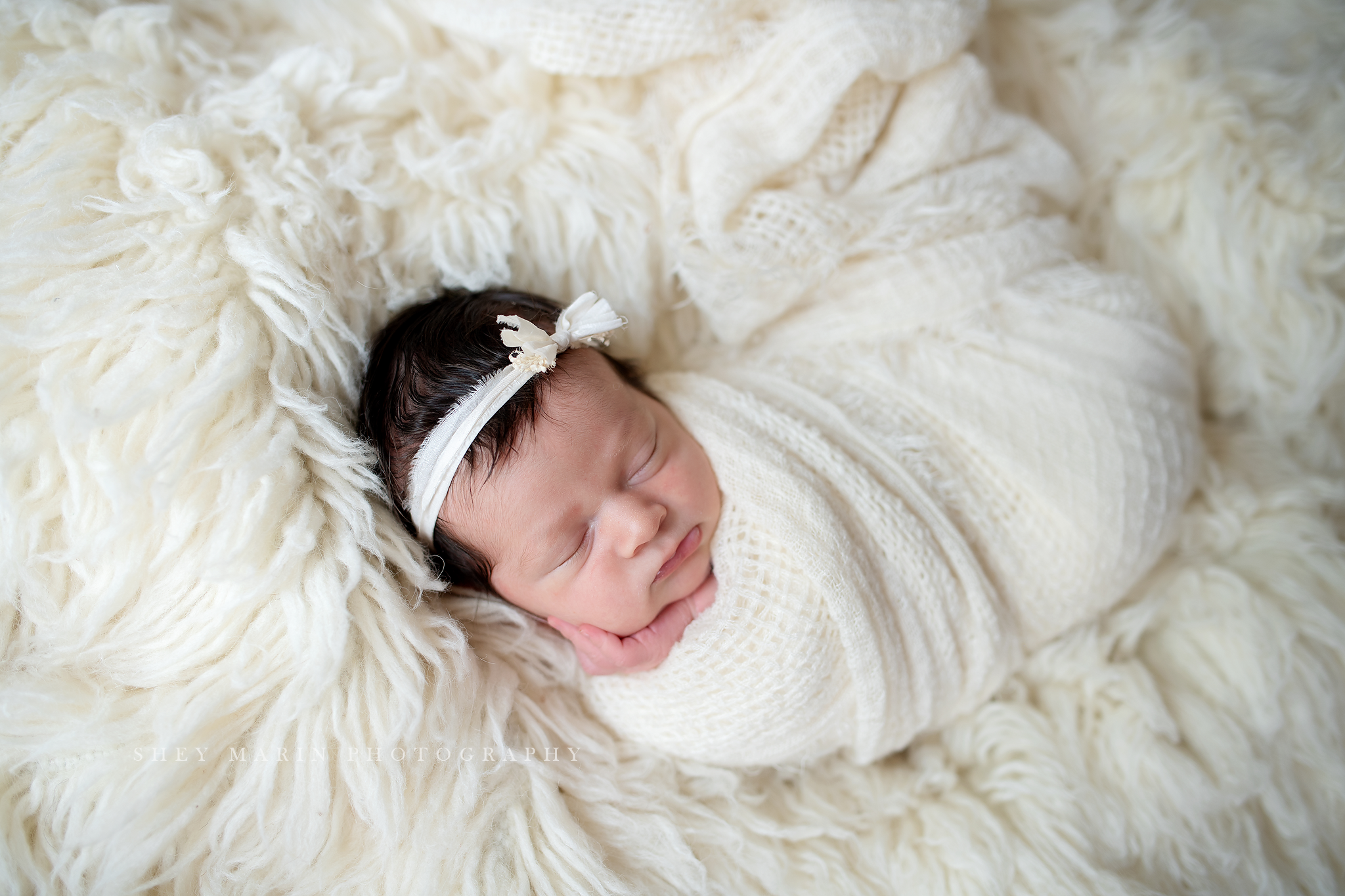 best lifestyle newborn photographer DC