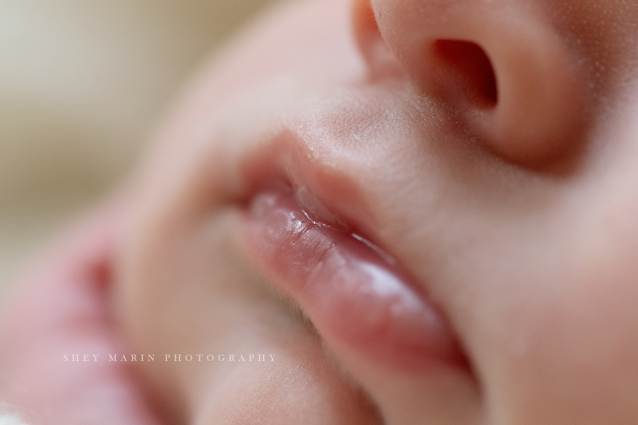 best lifestyle newborn photographer DC