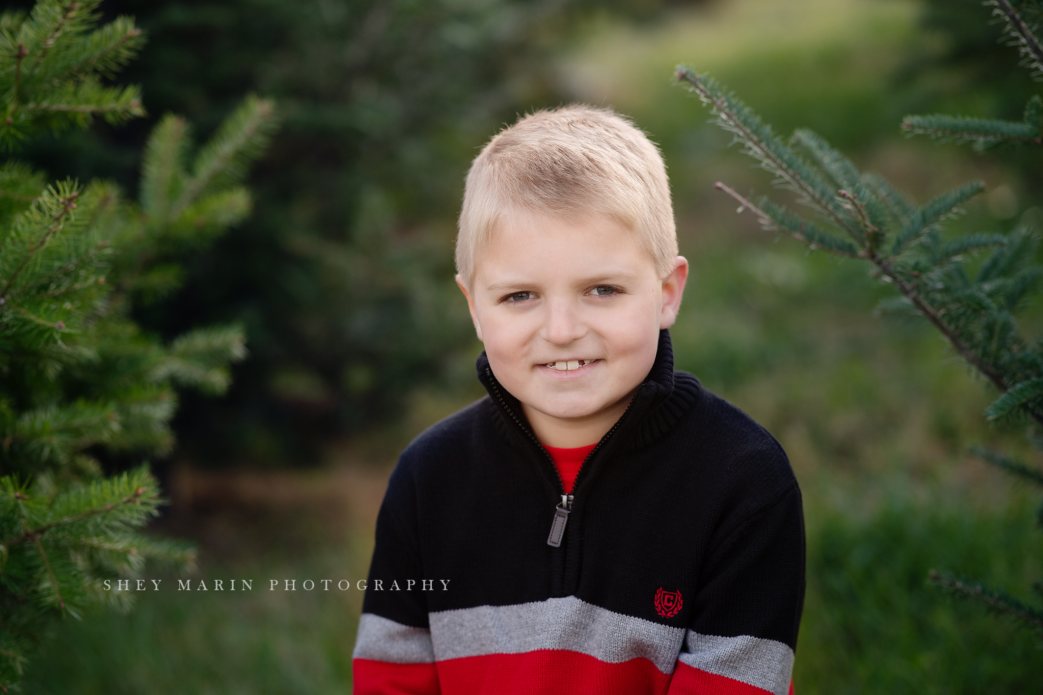 best frederick md family photographer